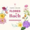 Curso Flores de Bach